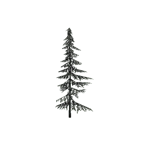 ConiferTreeSmall01LOD2 (TVE Backup)